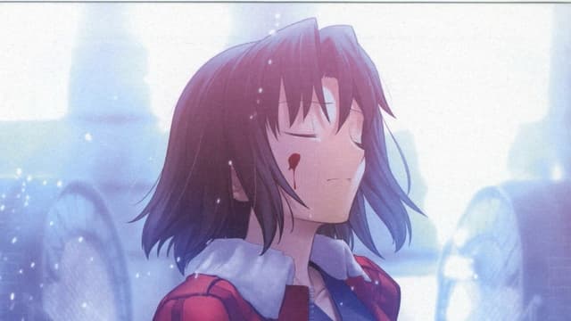 The Garden of Sinners: Especulação de Assassinato (2ª parte) assista online
