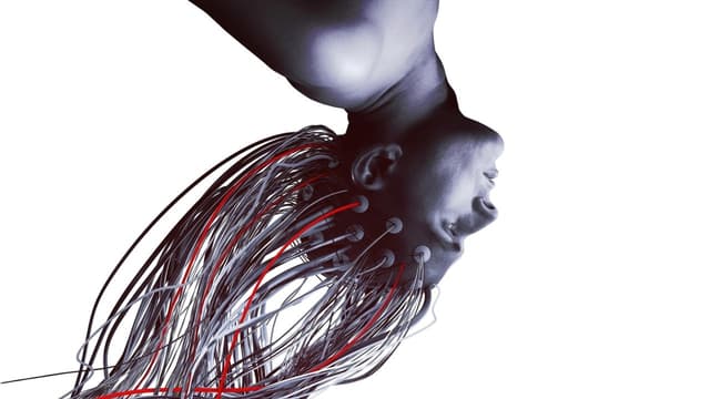 Ladrões de Mentes assista online