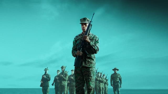 A Inspeção assista online