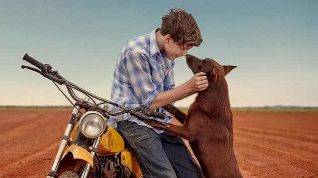Cão Vermelho: True Blue assista online