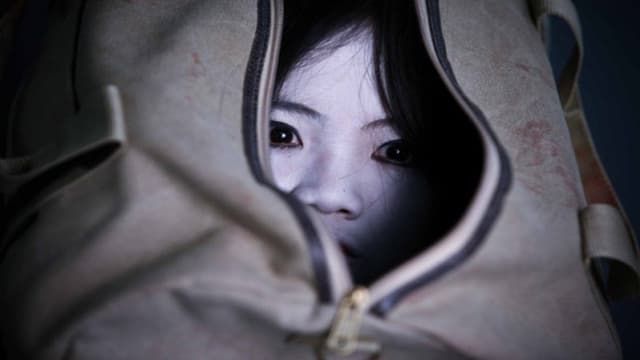Ju-On: Fantasma Branco assista online