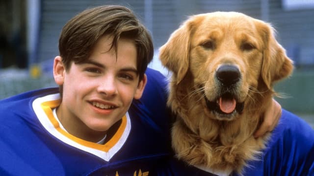 Bud 2: O Atleta de Ouro assista online