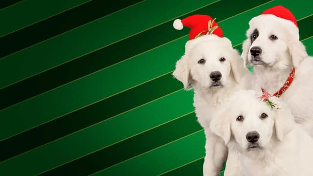 Santa Buddies: Uma Aventura de Natal assista online