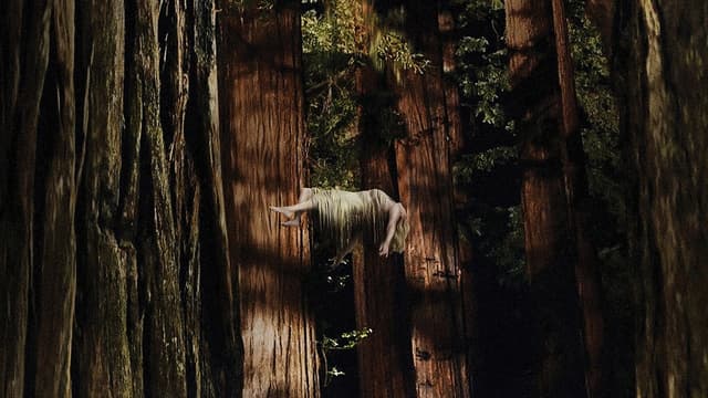 Woodshock assista online