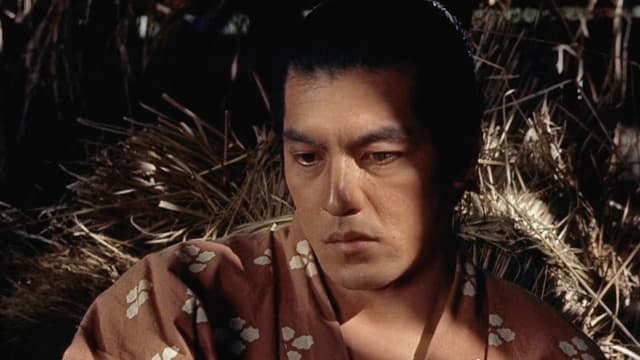 O Samurai Dominante: Miyamoto Musashi assista online