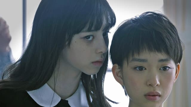 劇場版 零〜ゼロ〜 assista online