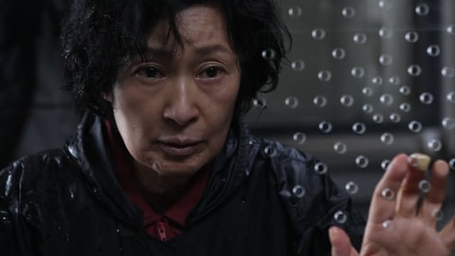 Mother - A Busca Pela Verdade assista online