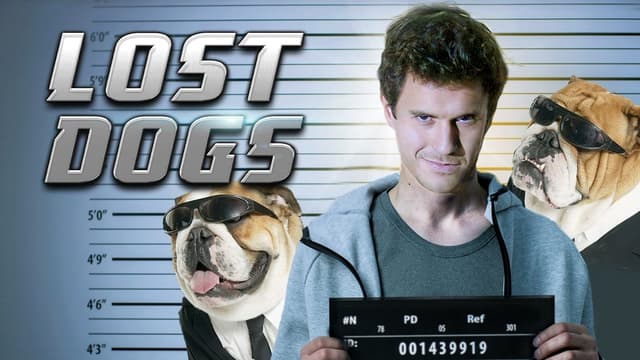 Procura-se um Cachorro assista online