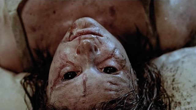 The Possession Experiment assista online