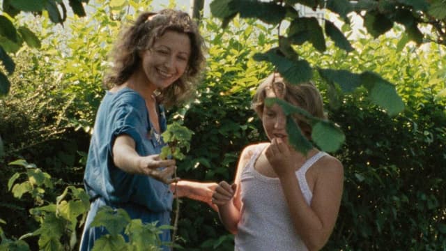 O Raio Verde assista online
