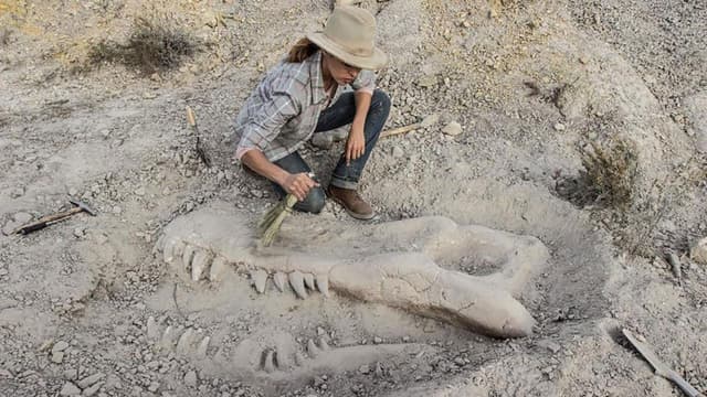 Valley of Bones assista online
