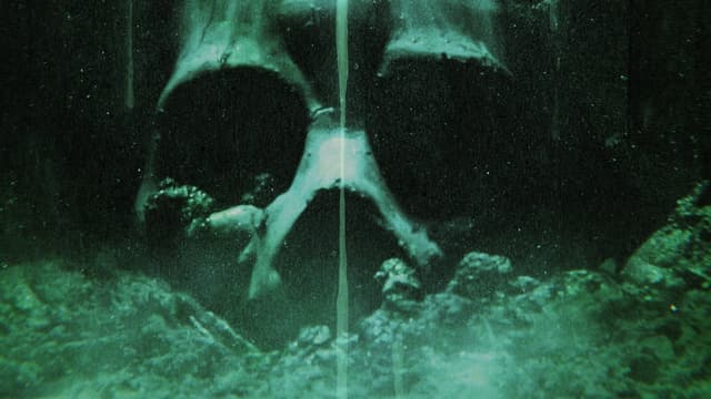 Transhuman assista online