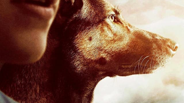 Max: O Cão Herói assista online
