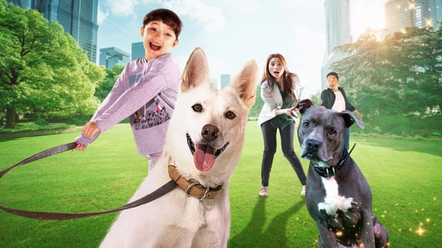 June & Kopi assista online