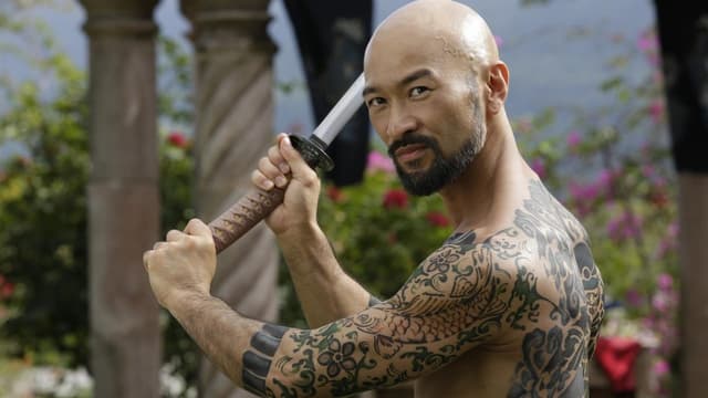 Vingança Fatal assista online
