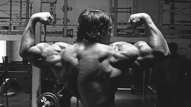 Pumping Iron: O Homem dos Músculos de Aço assista online