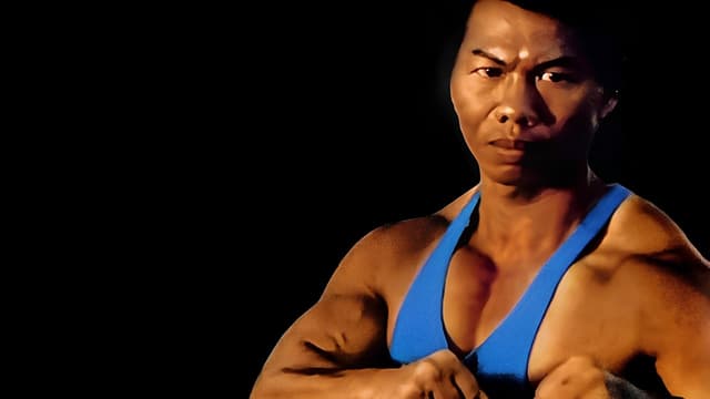 Kickboxer: Dragão de Fogo assista online