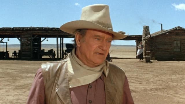 Os Cowboys assista online