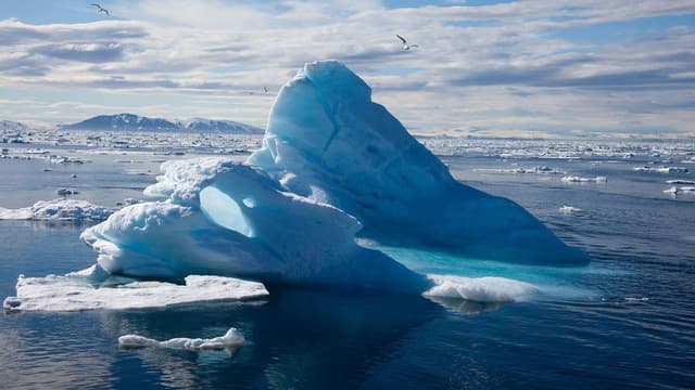 To the Arctic 3D assista online