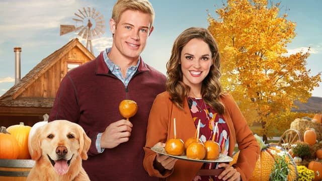 Outono: Love, Fall & Order assista online
