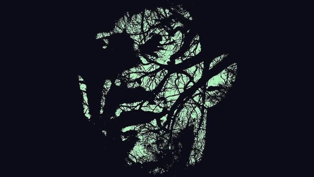 Without Name assista online