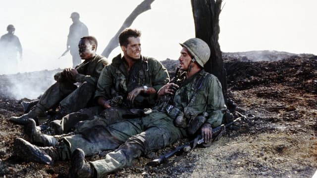 Hamburger Hill assista online