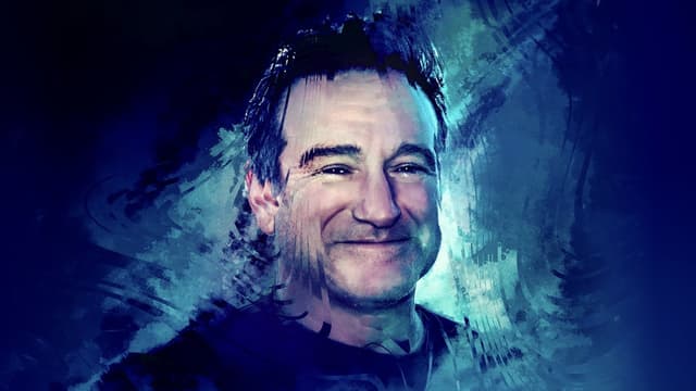 Robin's Wish assista online