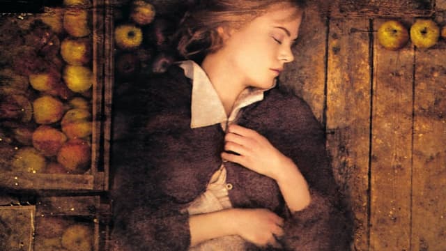 Dogville assista online