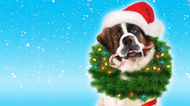 Beethoven: Aventura de Natal assista online