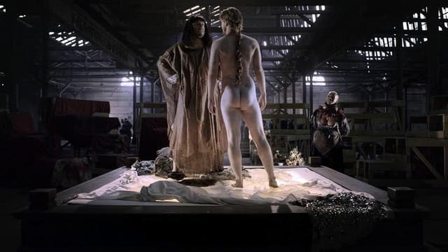 Goltzius & the Pelican Company assista online