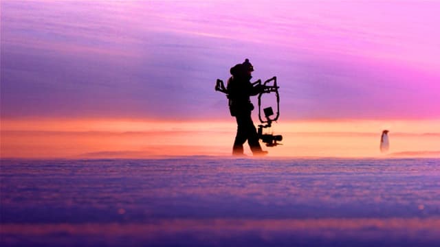 Pinguins: Vida ao Extremo assista online