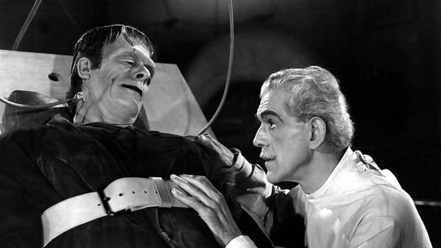 A Mansão de Frankenstein assista online