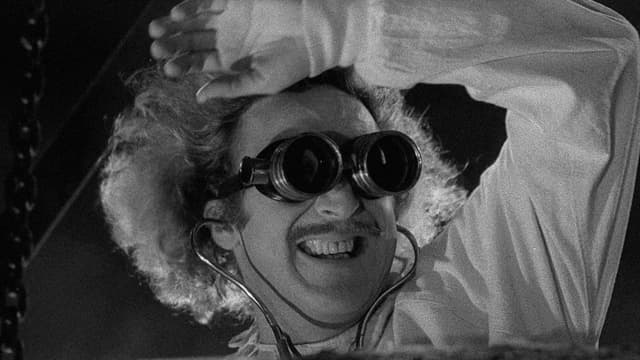 O Jovem Frankenstein assista online
