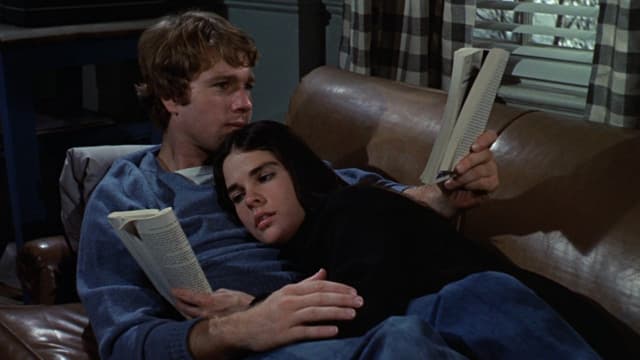Love Story: Uma História de Amor assista online