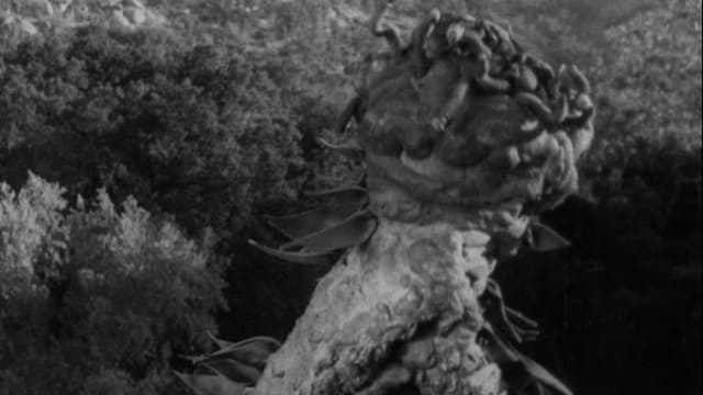 The Creeping Terror assista online