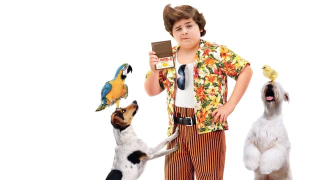 O Filho do Ace Ventura assista online