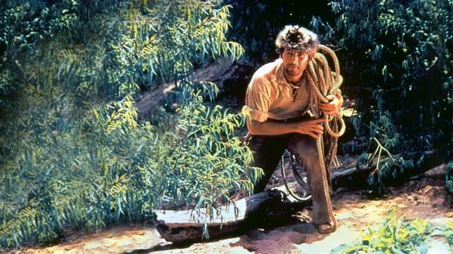 Davy Crockett e Os Piratas do Rio assista online