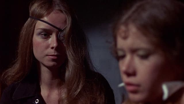 Switchblade Sisters assista online