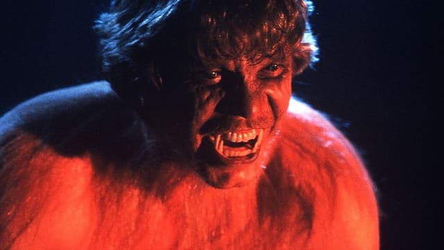 Grito de Horror assista online