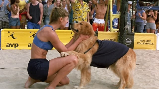 Bud 5: Arrasando no Vôlei! assista online