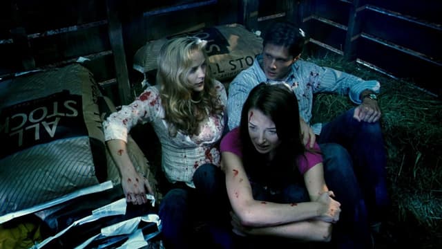 Grizzly Park: O Parque dos Ursos Selvagens assista online