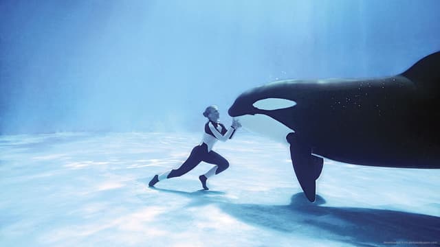 Blackfish: Fúria Animal assista online