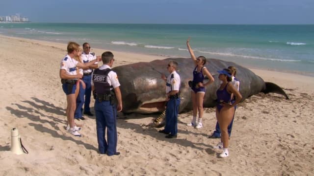 Reno 911!: Miami – O Filme assista online