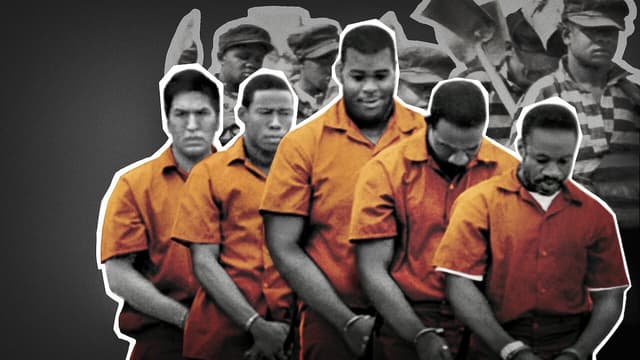 A 13ª Emenda assista online