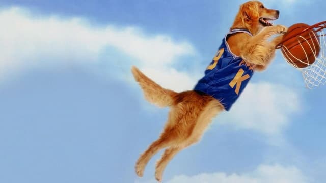 Bud: O Cão Amigo assista online