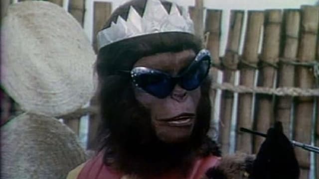 O Trapalhão no Planalto dos Macacos assista online