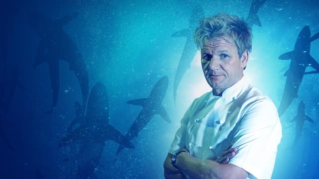 Gordon Ramsay: Shark Bait assista online
