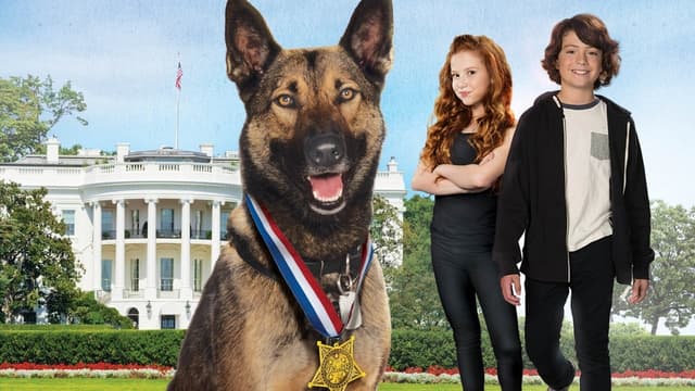 Max 2: Um Agente Animal assista online