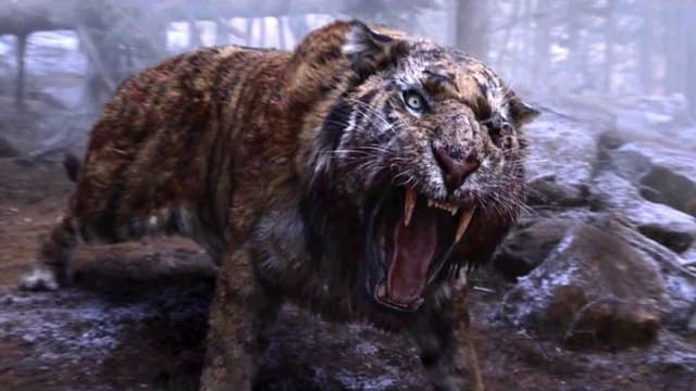 O Tigre assista online