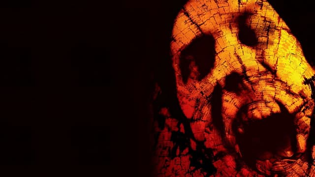 A Bruxa de Blair 2: O Livro das Sombras assista online